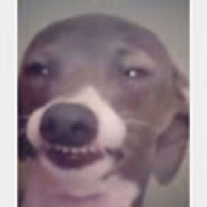 Meet your Posher, Janet